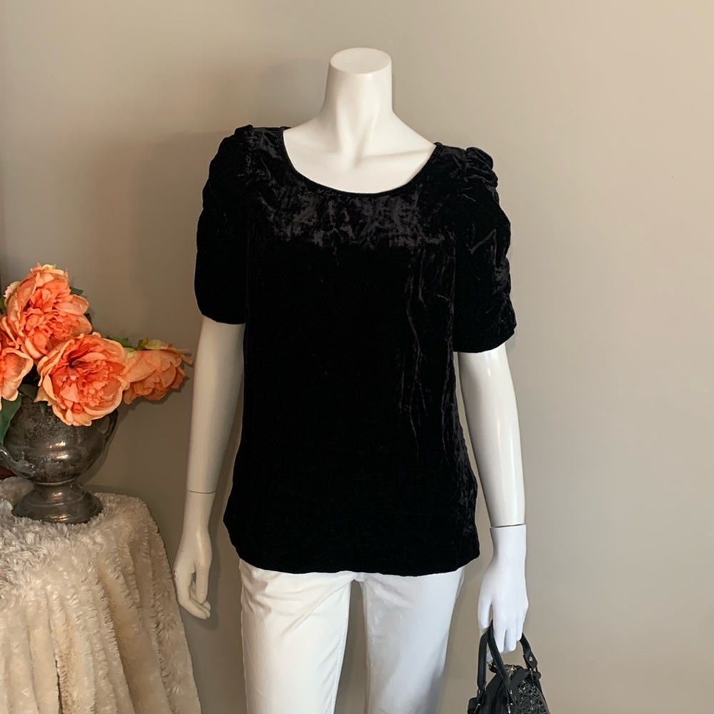 Talbots lightweight crushed velvet top